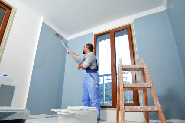 Best Trim and Molding Painting  in Le Claire, IA